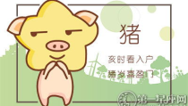心安理得是什么生肖,心安理得，揭秘哪些生肖在人生路上总能保持内心的平和与满足