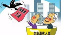 企业退休职工养老金,企业退休职工养老金政策解读与未来展望
