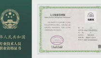 人力资源管理师一共几个级别,从初级到高级的职业技能发展路径